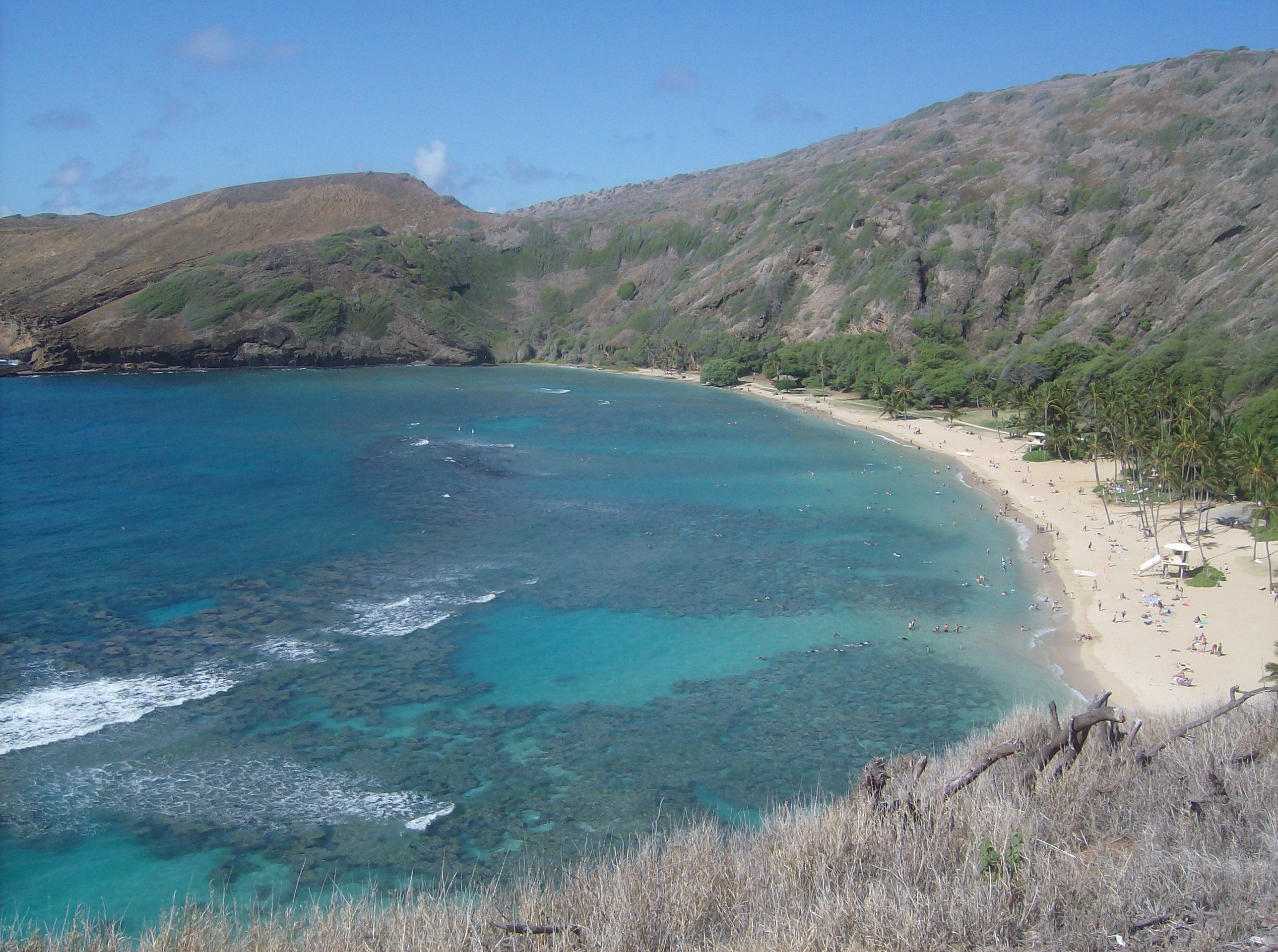 Hanauma Bay beach and water in Oahu